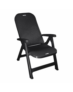 Кресло шезлонг складное пластиковое Discover графит 800х600х180 мм Р6052ГР Adrianoplast