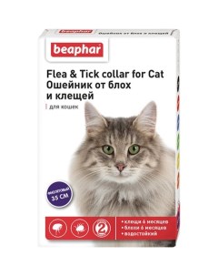 Ошейник для кошек от блох фиолетовый Беафар 35см Beaphar