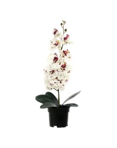 Искусственное растение в горшке орхидея h50 см цвет тигровый Без бренда