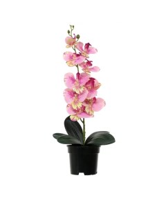 Искусственное растение в горшке орхидея h50 см цвет розовый Без бренда