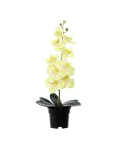 Искусственное растение в горшке орхидея h50 см цвет желтый Без бренда