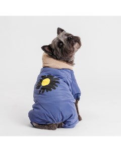 Комбинезон с цветочком для собак XL голубой девочка Petmax