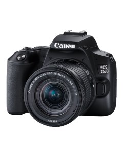 Зеркальный фотоаппарат EOS 250D Kit 18 55mm IS STM черный Canon