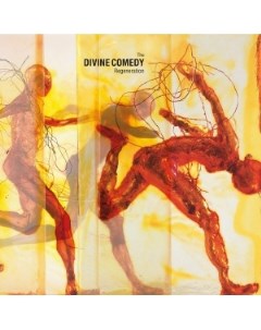 The Divine Comedy Regeneration Divine comedy records limited