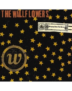 The Wallflowers Bringing Down The Horse 2LP Interscope records