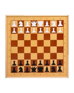 Демонстрационные шахматы магнитные игровое поле 73х73 см фигуры полимер король h 6 3 см Nobrand