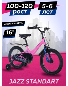 Велосипед детский двухколесный JAZZ Стандарт 16 2024 Розовый Матовый Z MSC J1632 Maxiscoo