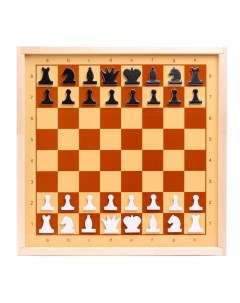 Шахматы и шашки демонстрационные магнитные мини Nobrand