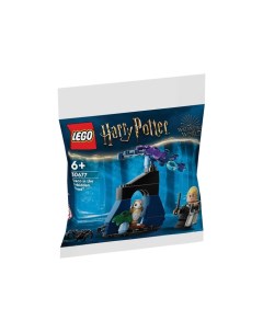Конструктор Harry Potter polybag Драко в Запретном лесу 30677 33 дет Lego