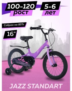 Велосипед детский двухколесный JAZZ Стандарт 16 2024 Фиолетовый Матовый Maxiscoo