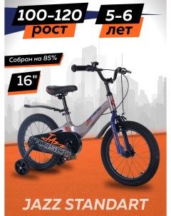 Велосипед JAZZ Стандарт 16 2024 Серый Жемчуг Z MSC J1635 Maxiscoo