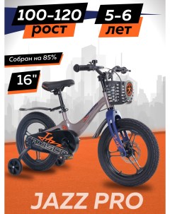 Велосипед JAZZ Pro 16 2024 Серый Жемчуг Z MSC J1635P Maxiscoo