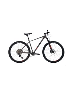 Велосипед MTB AL PHA 9 7 29 1 X 12 ALU 15 серый 2024 Capriolo