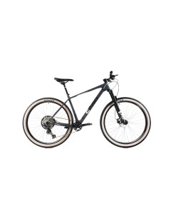 Велосипед MTB CPRO C 9 7 29 1 X 12 CARBON 19 серый 2024 Capriolo
