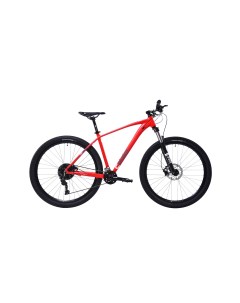 Велосипед MTB AL PHA 9 5 29 2 X 10 ALU 19 красный розовый 2024 Capriolo