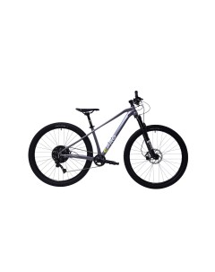 Велосипед MTB AL PHA 9 6 29 1 X 11 ALU 19 сиреневый металик 2024 Capriolo