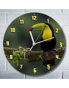 Настенные часы Животные Попугай 9169 Бруталити