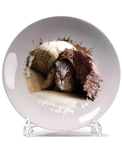 Тарелка Котёнок под одеялом Coolpodarok
