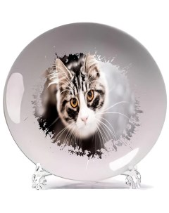Тарелка Кошка смотрит на верх Coolpodarok