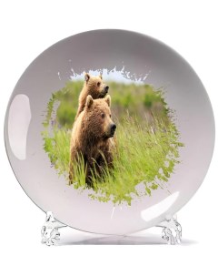 Тарелка Два медведя в траве Coolpodarok