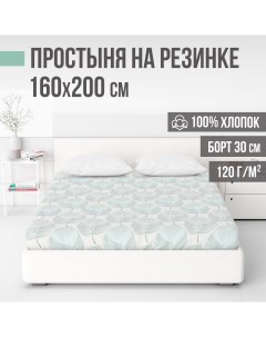 Простыня на резинке 160х200х30 см Листья Ventura life