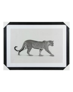 Картина Леопард 50 x 70 см в ассортименте дизайн по наличию Intco