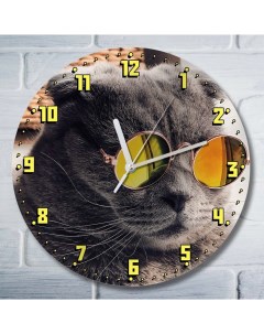Настенные часы Животные Кот в очках 9161 Бруталити