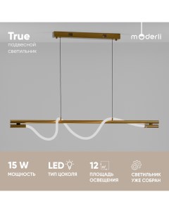 Светильник подвесной светодиодный V10679 PL True Moderli