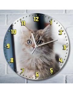 Настенные часы Животные рыжий кот 9162 Бруталити