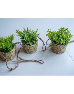 Искусственное растение COZY GREENS в подвесном джутовом кашпо пластик 8х12 см Kaemingk