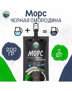 Морс Черная смородина основа 2 шт по 200 г Карельское лето