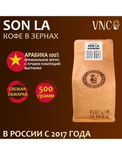 Кофе в зернах Арабика Son La свежая обжарка 500 г Vnc