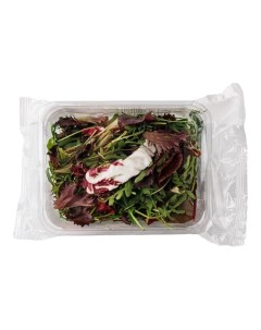 Салатная смесь Витаминный заряд рукола салат 75 г Без бренда