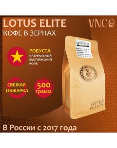 Кофе в зернах Lotus Elite свежая обжарка премиальная робуста из Вьетнама 500 г Vnc