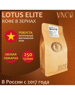 Кофе в зернах Lotus Elite свежая обжарка премиальная робуста из Вьетнама 250 г Vnc