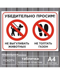 Табличка Просим не выгуливать животных не топтать газон А4 21х30 Правильная реклама