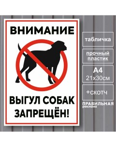 Табличка Выгул собак запрещен А4 21х30 см пластик 3мм скотч Правильная реклама