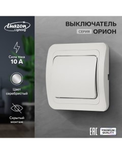 Выключатель Орион 10 А 1 клавиша скрытый серебристый Luazon lighting