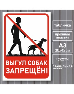 Табличка Выгул собак запрещён А3 30х42 см пластик скотч ламинация Правильная реклама