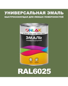 Эмаль Универсальная RAL6025 по металлу по ржавчине для дерева бетона пластика Onlak