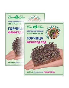 Комплект готовый набор семян микрозелени Горчица Фрингед Ред 23 01255 2 упаковки Семко