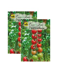 Семена томат Форте мальтезе F1 23 00872 Семко