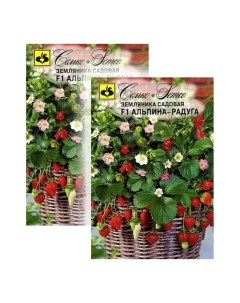 Комплект семян земляника альпина Радуга F1 23 01173 2 упаковки Семко