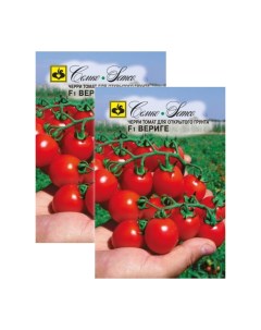 Семена томат Вериге F1 23 00852 Семко