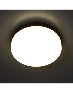 Светильник настенно потолочный светодиодный уличный Opal 358882 IP65 цвет Novotech