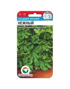 Семена Сельдерей Нежный листовой Среднеспелые 63812 0 5 гр Сибирский сад