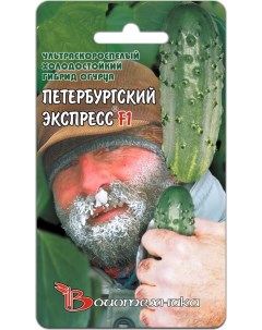Семена огурец Петербургский экспресс F1 14160 1 уп Биотехника