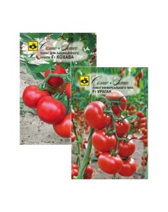 Семена томат Кохава F1 ураган F1 23 01275 Семко