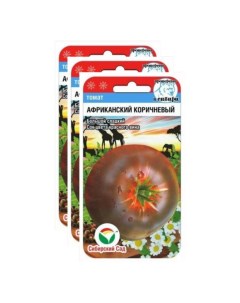 Семена томат Африканский коричневый 23 02253 3 уп Сибирский сад