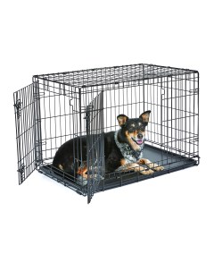 Клетка для собак Cage классическая сталь размер M 70x50x60см Zdk
